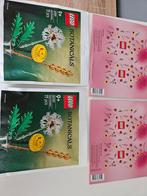 2x LEGO 30701 Botanicals Field Flowers + Kartonnen Vaas, Ophalen of Verzenden, Nieuw, Complete set, Lego