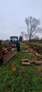 Haardhout stammen, Tuin en Terras, Haardhout, Minder dan 3 m³, Ophalen of Verzenden, Elzenhout, Stammen