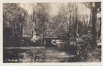 Bussum bruggetje in boschjes Oude ansichtkaart ( 7904), Ophalen of Verzenden, 1940 tot 1960, Gelopen, Noord-Holland