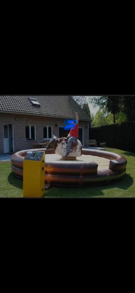 Rodeo Stier - Gegarandeerd Plezier!, Hobby en Vrije tijd, Feestartikelen, Gebruikt, Overige, Ophalen