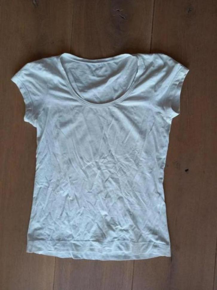Wit t-shirt. Maat M, Kleding | Dames, T-shirts, Zo goed als nieuw, Maat 38/40 (M), Wit, Korte mouw, Ophalen of Verzenden