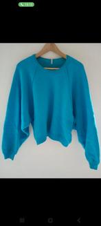 Humanoid, Kleding | Dames, Truien en Vesten, Humanoid, Ophalen of Verzenden, Zo goed als nieuw, Maat 36 (S)