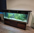 Grote Aquarium-Bar, Dieren en Toebehoren, Vissen | Aquaria en Toebehoren, Ophalen, Gebruikt, Leeg aquarium