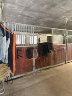 Fronten voor paardenstallen, Dieren en Toebehoren, Stalling en Weidegang, Stalling, 4 paarden of pony's of meer