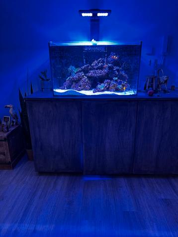 Zeeaquarium beschikbaar voor biedingen