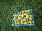 stoofperen  ook wel pons peren genoemd, Ophalen of Verzenden