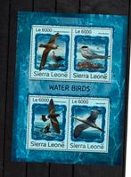 `SIERRA LEONE 2016 PF BLOK ZEEVOGELS VOGELS BIRDS, Ophalen of Verzenden, Postfris, Dier of Natuur