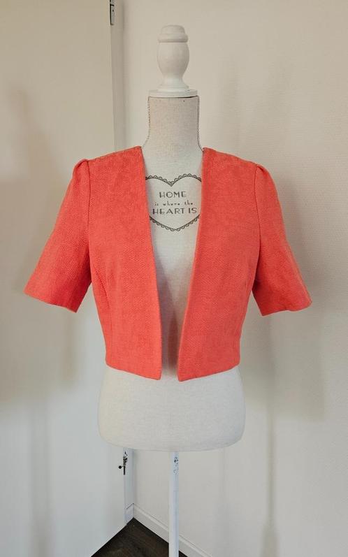 NIEUW mooi kort jasje, Steps, koraal, maat 42, Kleding | Dames, Jasjes, Kostuums en Pakken, Nieuw, Jasje, Maat 42/44 (L), Roze