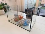 Aquarium glas met toebehoren 40x25x25cm, Dieren en Toebehoren, Ophalen, Leeg aquarium