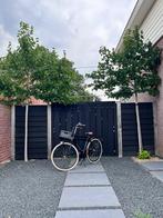 Cortina U4 jongens transportfiets, Fietsen en Brommers, Fietsen | Jongens, Gebruikt, Versnellingen, Cortina, Ophalen