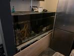Aquarium te koop, Dieren en Toebehoren, Ophalen of Verzenden, Zo goed als nieuw, Leeg aquarium