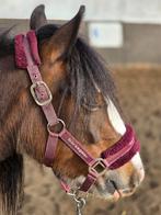 Knuffel tinker pony, Zadelmak, 3 tot 6 jaar, C pony (1.27m tot 1.37m), Recreatiepony