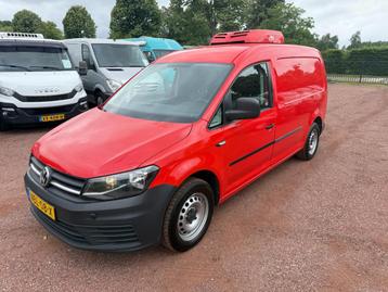 Volkswagen Caddy 2.0 TDI L2H1 Maxi Koel / Vrieswagen / Koela beschikbaar voor biedingen