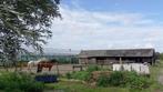 te huur: gedeelde paardenbox op de grens van Warmond, 1 paard of pony, Weidegang