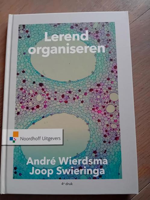Joop Swieringa - Lerend organiseren, Boeken, Wetenschap, Zo goed als nieuw, Ophalen of Verzenden