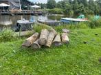 Haardhout - Boomstammen en stukken hout, Tuin en Terras, Haardhout, Minder dan 3 m³, Ophalen, Overige houtsoorten, Stammen