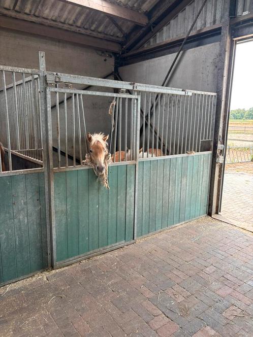 Paardenboxen, Dieren en Toebehoren, Stalling en Weidegang, Stalling, 2 of 3 paarden of pony's