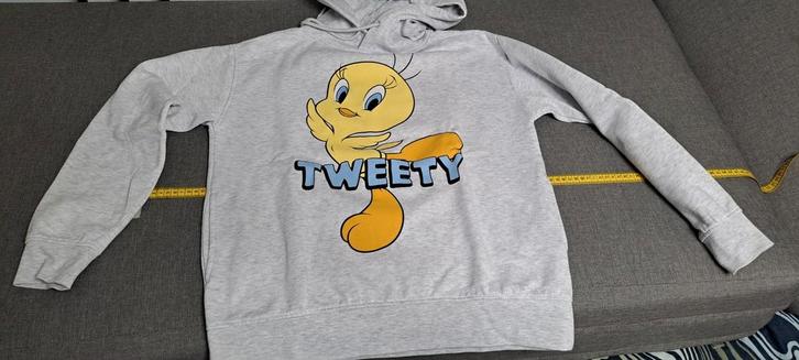 Tweety Sweater Dames Maat S, Kleding | Dames, Truien en Vesten, Zo goed als nieuw, Maat 36 (S), Grijs, Ophalen of Verzenden