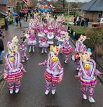 Grote loopgroep carnaval - prachtige kostuums, Ophalen, Gedragen, Maat 38/40 (M)
