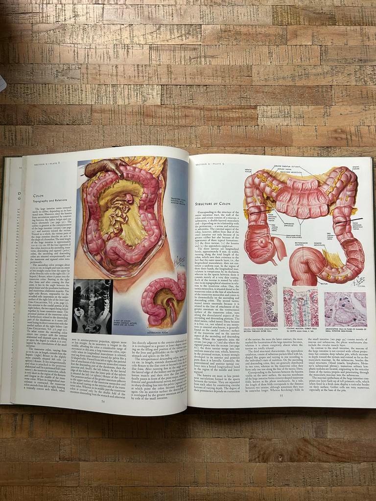 CIBA Collectie Medische Illustraties - Spijsverteringsstelse, Ophalen of Verzenden