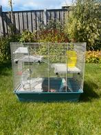 Hamsterkooi, complete set, Kooi, Minder dan 75 cm, Zo goed als nieuw, Hamster