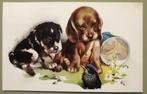 2 honden puppies en een vogel - 1955, Ophalen of Verzenden, 1940 tot 1960, Gelopen, Hond of Kat
