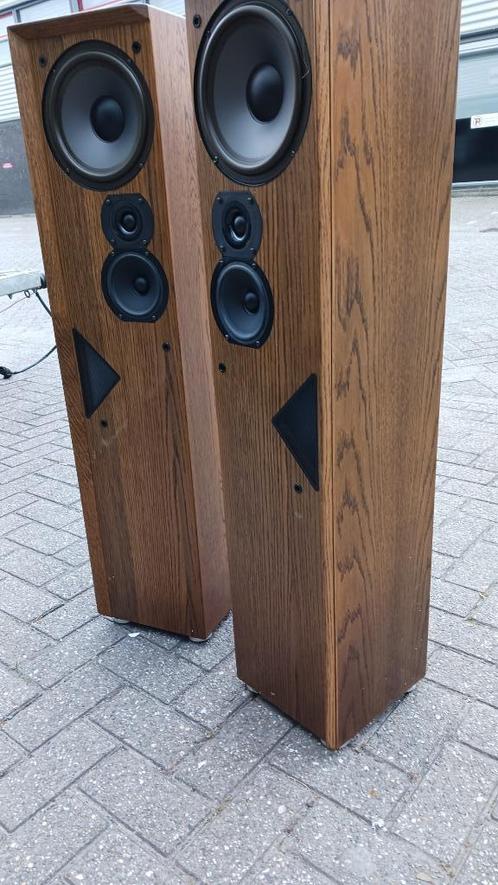 T+A Criterion T100 | Transmissionline, Audio, Tv en Foto, Luidsprekers, Zo goed als nieuw, Front, Rear of Stereo speakers, 120 watt of meer