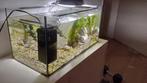 Aquarium, Ophalen, Nieuw, Gevuld zoetwateraquarium