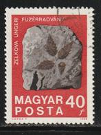 Hongarije 1969 - Fossiel Blad, Postzegels en Munten, Ophalen of Verzenden, Gestempeld