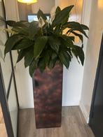 Trendy binnen plantenbakken of onder afdak  1meter x35x35, Ophalen, Zo goed als nieuw