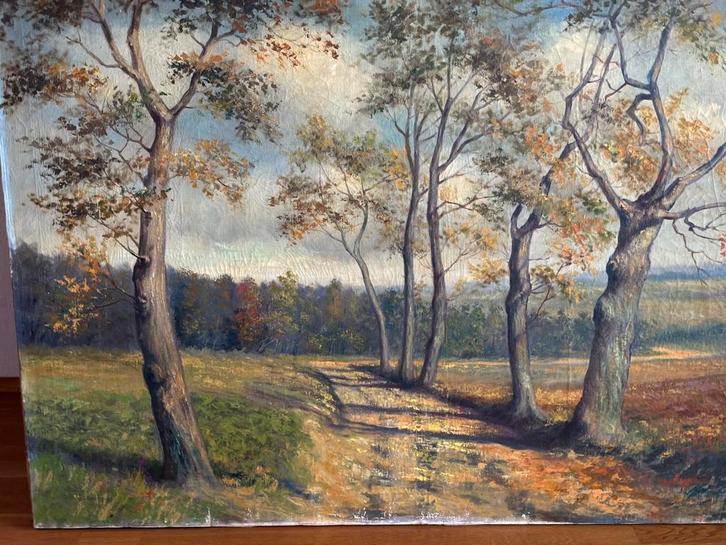 Arthur Nols Schilderij - Landschap, Antiek en Kunst, Kunst | Schilderijen | Klassiek, Ophalen