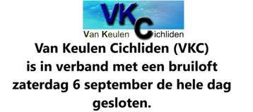 Van Keulen Cichliden (VKC) is zaterdag 6 september gesloten beschikbaar voor biedingen