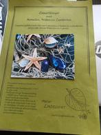 Patroon zomers slinger met mosselen oesters en zeesterren, Hobby en Vrije tijd, Ophalen of Verzenden, Zo goed als nieuw, Boek of Patroon