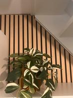 Wandpaneel Aku Woodpanel - Nieuw!, Ophalen, Nieuw, Hout, Minder dan 20 mm
