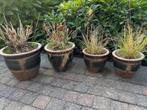 1 Terra cotta geglazuurde bloempot (Hoog 26cm), Tuin en Terras, Bloempotten, Gebruikt, Rond, Minder dan 40 cm, Tuin