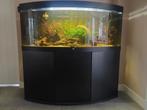 Juwel Aquarium 150 x 61 x 144, Dieren en Toebehoren, Vissen | Aquaria en Toebehoren, Ophalen, Zo goed als nieuw, Leeg aquarium