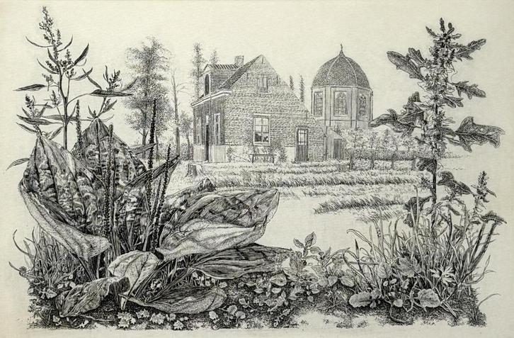 190. Ets, Han van Hagen – “Weegbree-Ganzevoet”, 1976, Antiek en Kunst, Kunst | Etsen en Gravures, Ophalen of Verzenden