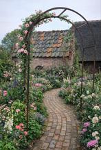 Rozenboog Sika van massief staal., Ophalen