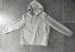Grijze hoodie /sweater met capuchon maat L zgan, Ophalen of Verzenden, Zo goed als nieuw, Maat 42/44 (L), Grijs