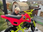 Pit bike 49cc flügel style, 0 versnellingen, 49 cc, Zo goed als nieuw, Ophalen
