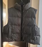 Leuke donker groene dames bodywarmer maat XL, Kleding | Dames, Bodywarmers, Primark, Maat 46/48 (XL) of groter, Ophalen of Verzenden