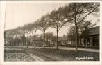 Wijnaldum - Straat - Huizen met laanbomen, Verzamelen, Ophalen of Verzenden, 1920 tot 1940, Gelopen, Friesland