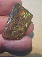 ammoniet, Verzamelen, Mineralen en Fossielen, Ophalen of Verzenden, Mineraal