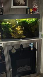 Aquarium, Dieren en Toebehoren, Ophalen, Zo goed als nieuw, Gevuld zoetwateraquarium