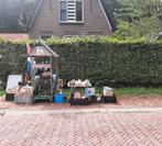 Kraampje langs de weg, Tuin en Terras, Planten | Tuinplanten, Ophalen, Zomer, Overige soorten, Volle zon
