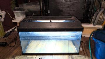 Aquarium beschikbaar voor biedingen