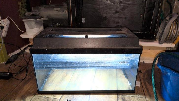 Aquarium, Dieren en Toebehoren, Vissen | Aquaria en Toebehoren, Gebruikt, Leeg aquarium, Ophalen