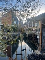 1 knotwilg Salix Alba.stam omtrek 18-20cm, Tuin en Terras, Overige soorten, 100 tot 250 cm, Zomer, Ophalen