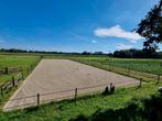 HEM GROEP Sportbodems paardenbak zand egaliseren polyvlokken