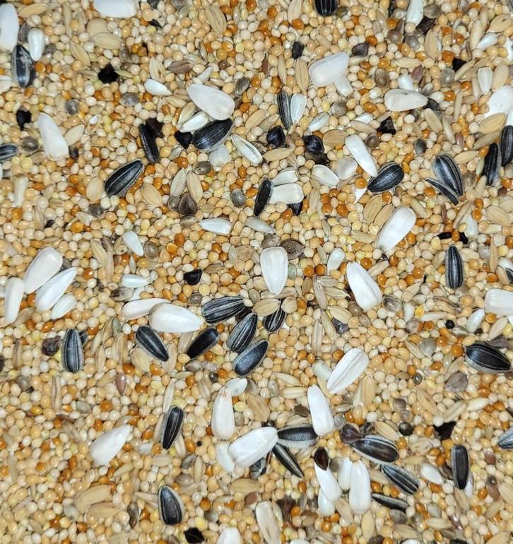 Nergens Goedkoper Groot Parkiet PROMO 20KG, Dieren en Toebehoren, Dierenvoeding, Vogel, Ophalen